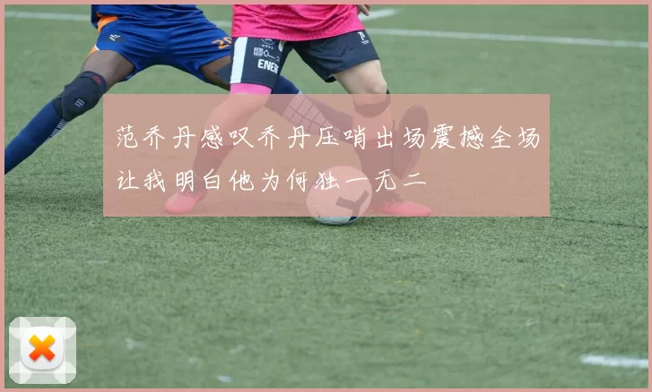 范乔丹感叹乔丹压哨出场震撼全场让我明白他为何独一无二